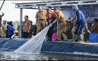 Inovasi Tambak Modern Pemprov Jateng: Berhasil Panen Udang Vaname di Tengah Kawasan Industri