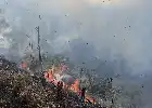 Anticipating the Impact of Forest Fires, Three Tourist Access Routes to Mount Bromo Temporarily Closed