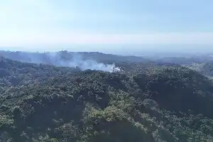 Mojokerto's Mount Biru Forest Fire Spreads to 65.9 Hectares, Joint Team Subdues One Hotspot