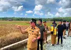 IDR 4.8 Billion Irrigation Project in Gunung Binjai Accelerated to Boost Balikpapan's Rice Productivity