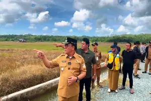 IDR 4.8 Billion Irrigation Project in Gunung Binjai Accelerated to Boost Balikpapan's Rice Productivity