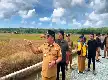 IDR 4.8 Billion Irrigation Project in Gunung Binjai Accelerated to Boost Balikpapan's Rice Productivity