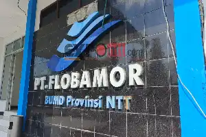 Розширення бізнесу у 2027 році: комунальне підприємство NTT PT Flobamor готує будівництво птахобойні та заводу з виробництва кормів для тварин