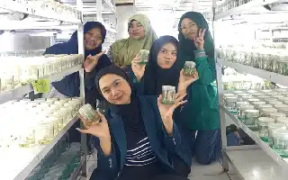 Mejora de la competencia agroindustrial: estudiantes de la UB Kediri aprenden tecnología de cultivo de tejidos de caña de azúcar en Madiun