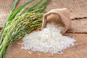 Corporate Dominance in the Rice Distribution Chain: A Real Challenge to National Food Security