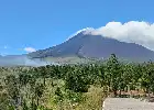 Kebakaran Hutan Gunung Soputan Hanguskan Ratusan Hektare Lahan, Diduga Akibat Puntung Rokok