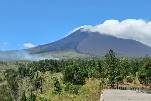 Mount Soputan Forest Fire Destroys Hundreds of Hectares of Land, Suspected to be Caused by Cigarette Butt