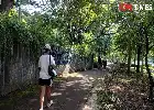 Panduan dan Manfaat Slow Jogging bagi Kesehatan Fisik dan Mental Menurut Pakar UGM