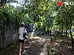 Panduan dan Manfaat Slow Jogging bagi Kesehatan Fisik dan Mental Menurut Pakar UGM