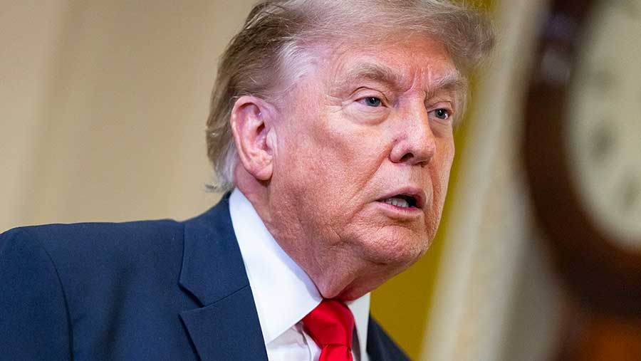 Donald Trump Tegaskan Legalitas Investasi Kripto di Tengah Laporan Keuntungan Fantastis