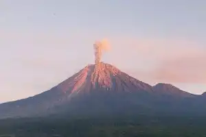 Mount Semeru Erupts Again, Ash Column Reaches 800 Meters