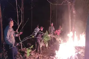 Fire Sweeps Through Mount Bungkus Teak Forest in Ponorogo, 3.2 Hectares Affected