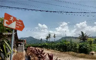 Land Conflict in Banyuwangi: Mount Salakan Farmers Face Criminalization Threat Over Rejection of Mining Survey