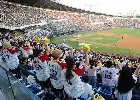 Una mirada a la emoción de la liga de béisbol KBO: Símbolo de la cultura de ocio popular en Corea del Sur