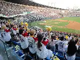 Una mirada a la emoción de la liga de béisbol KBO: Símbolo de la cultura de ocio popular en Corea del Sur