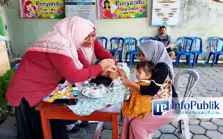 Optimization of Village Health Services: Posyandu ILP Nusa Indah Lumajang Targets Hundreds of Residents