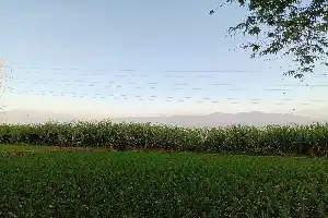 Arden las empinadas laderas del monte Biru Anjasmoro y los bomberos se ven en dificultades para llegar a los focos del fuego