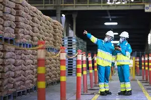 Strategi Transformasi Bisnis Dorong Lonjakan Penjualan Semen Indonesia Capai 15 Juta Ton