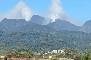 Karhutla di Lereng Gunung Welirang Mojokerto, Medan Terjal Hambat Upaya Pemadaman