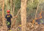 Lahan Sultan Ground di Gunung Gedhe Imogiri Terbakar, Petugas Upayakan Pemadaman Total