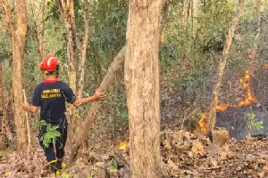Terrenos de Sultan Ground en el monte Gedhe Imogiri se incendian; bomberos intentan la extinción total