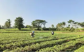Not a Lack of Innovation: Why Agricultural Digitalization Often Fails at the Farmer Level