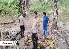 Hiding on Mountain Slopes, Cockfighting Gambling Arena in Mamuju Raided by Police
