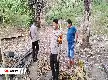 Hiding on Mountain Slopes, Cockfighting Gambling Arena in Mamuju Raided by Police