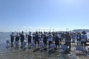 Pemerintah Fokuskan Pemulihan 700 Ribu Hektar Hutan Mangrove Nasional