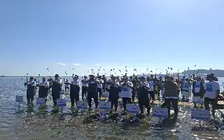 Government Focuses on Restoring 700,000 Hectares of National Mangrove Forests