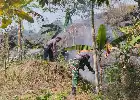 Wildfire in Mount Ciremai National Park Devours 30 Hectares of Land, Joint Efforts Successfully Extinguish the Blaze