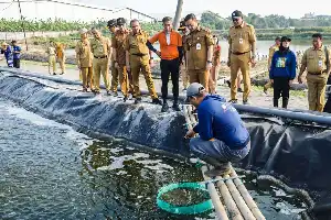 Modern Shrimp Farm Innovation in the Middle of Semarang Industrial Area Boosts Central Java's Fishery Productivity