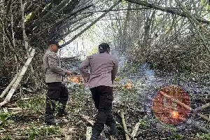 Synergy Between Officers and Residents Successfully Extinguishes Wildfire on Mount Orak-Arik, Trenggalek