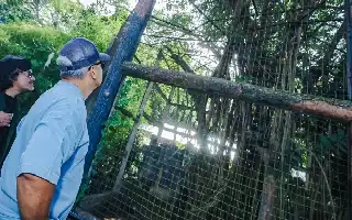 El Gobierno de Bandung busca completar este julio la alianza para la gestión del zoológico