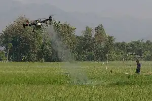 Acelerando la modernización agrícola, el Ministerio de Agricultura impulsa el uso de drones en Trenggalek