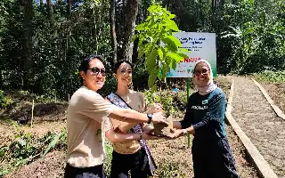 Mount Halimun Salak Ecosystem Restoration: 600 Rasamala Trees Planted for Javan Hawk-Eagle Habitat