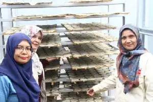Dorong Daya Saing UMKM, Dosen Unand Implementasikan Rumah Pengering Modern di Agam