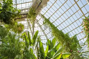 Carbon Regulation Reform Successfully Restores International Investor Confidence in Indonesia