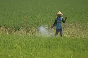 El presidente Prabowo destaca la mejora del bienestar de los agricultores en la cumbre del 79.º Harkopnas