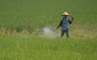 Presiden Prabowo Soroti Peningkatan Kesejahteraan Petani di Puncak Harkopnas ke-79
