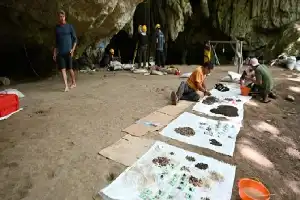 Archaeological Research Reveals the Evolution of Prehistoric Stone Tool Technology in Maros Over 40,000 Years