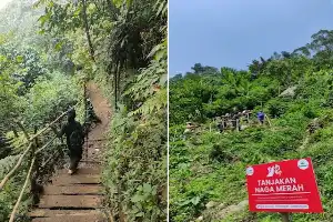 Mount Khayangan Cipamingkis: A Beginner-Friendly Hiking Destination with Captivating Sunrise Views in Bogor