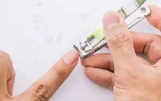 Unveiling the Roots of the Nighttime Nail-Cutting Myth: Between Tradition and Safety Logic
