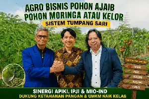Impulsando la seguridad alimentaria, APIKI y sus socios estratégicos desarrollan agronegocios de moringa basados en Mipymes