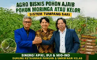 Impulsando la seguridad alimentaria, APIKI y sus socios estratégicos desarrollan agronegocios de moringa basados en Mipymes