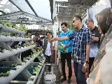 Finalizing Preparations for Provincial Competition, Makassar Regional Secretary Evaluates Gunung Sari Subdistrict