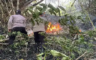 Joint Team Successfully Extinguishes Land Fire on Mount Orak-Arik in Trenggalek