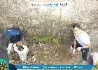 Dorong Sport Tourism Bebas Sampah, Pemkot Tasikmalaya Gelar Aksi GEMAS di Situ Gede
