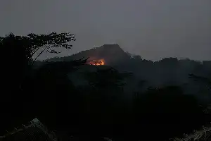 Aksi Cepat Warga Padamkan Karhutla di Gunung Putri Banyumas, Empat Hektare Lahan Perhutani Terdampak