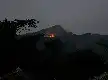 Aksi Cepat Warga Padamkan Karhutla di Gunung Putri Banyumas, Empat Hektare Lahan Perhutani Terdampak